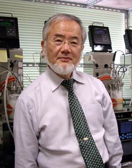 Yoshinori Ohsumi