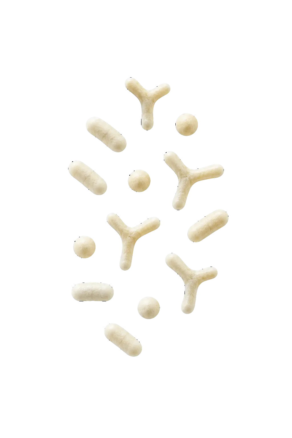 Photorealistic microbiological culture representing the proprietary co-culture platform