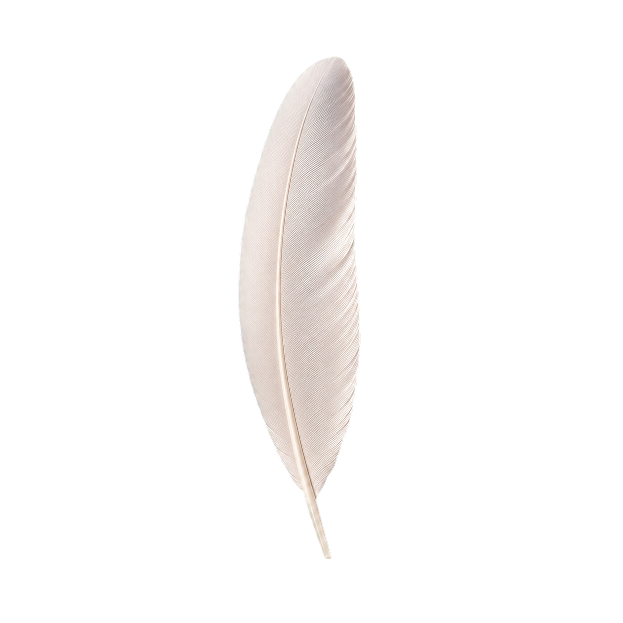 White feather representing the source of hydrolysed keratin