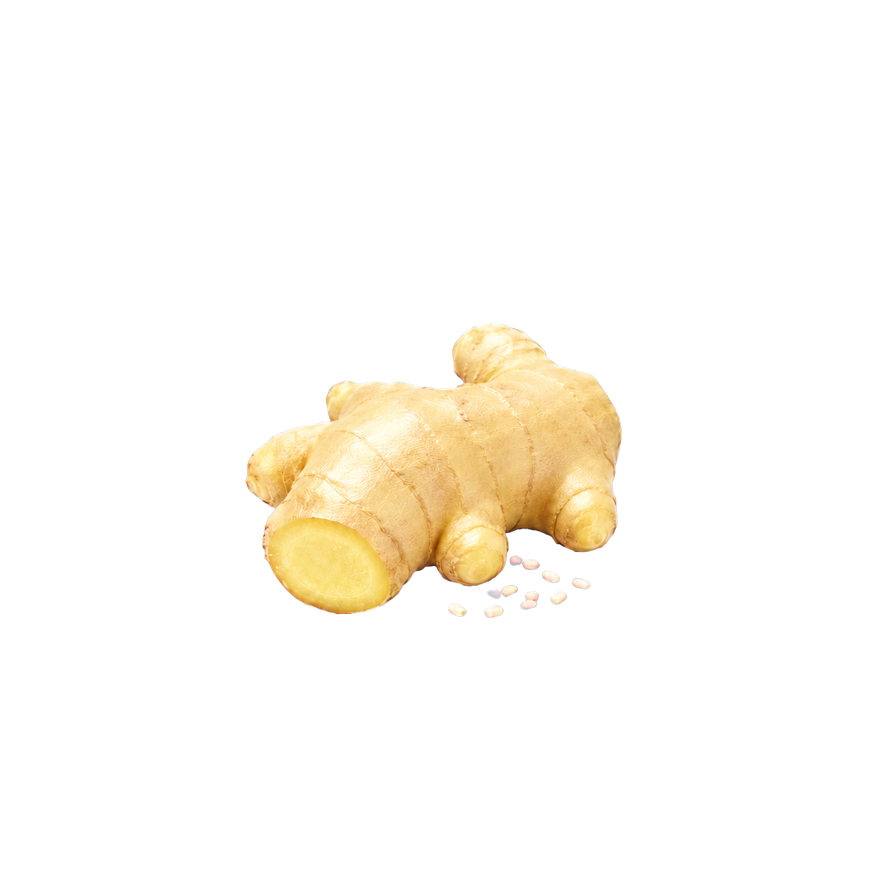 Ginger rhizome with pale koji grains representing ginger koji