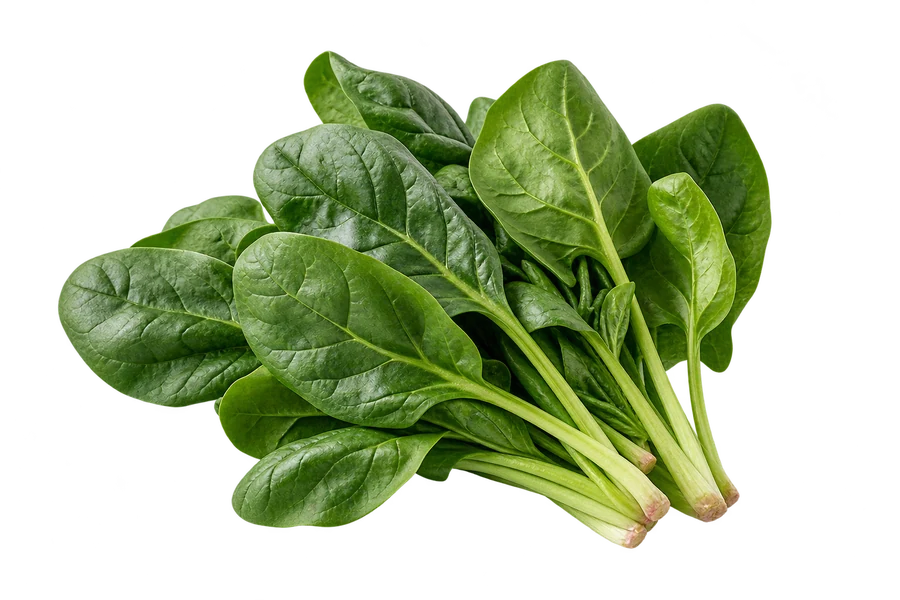 Illustrative spinach; not the measured reference portion