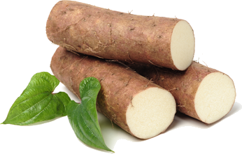 Wild yam roots and leaves representing the botanical extract