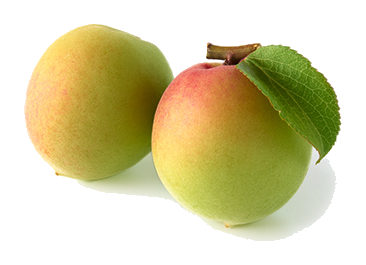 Japanese apricots on a transparent background