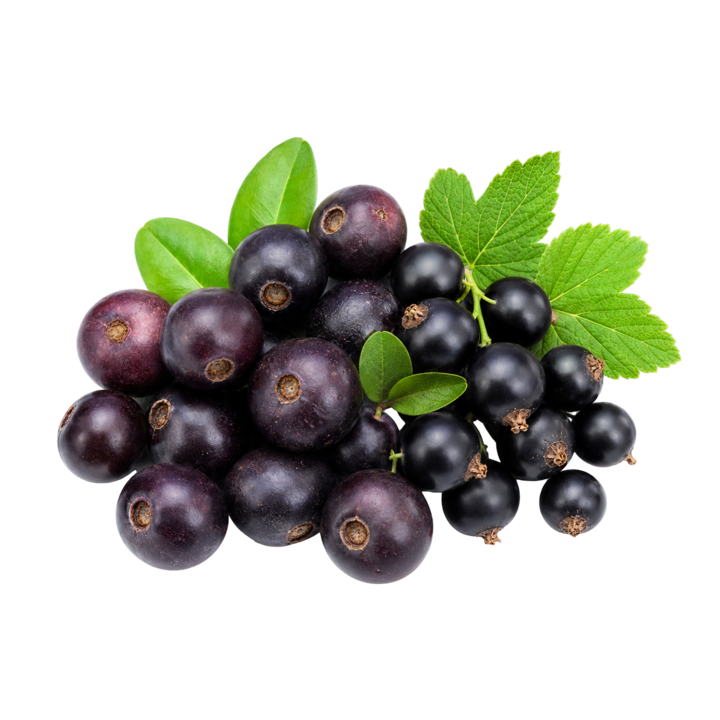 Realistic maqui berry and cassis cutout