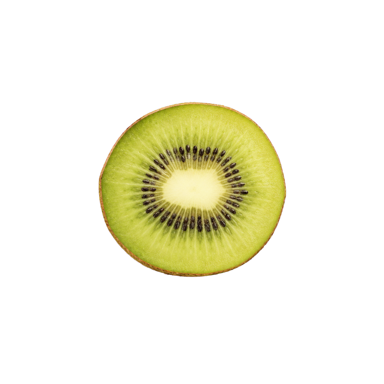 Kiwifruit slice showing the seeds used to represent kiwi seed extract